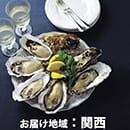 海遊　殻付き牡蠣　Mサイズ12個　【お届け先地域：関西地方】