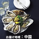 海遊　殻付き牡蠣　Mサイズ12個　【お届け先地域：中国地方】